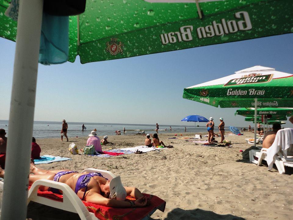 PLIMBARI IN DELTA  - 1001870.jpg